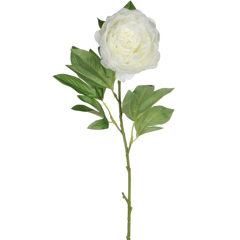 Foto van Mica kunstbloem pioenroos - creme - 76 cm - polyester - decoratie bloemen - kunstbloemen