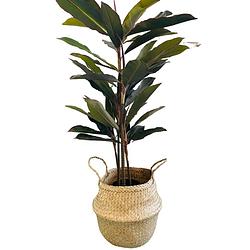 Foto van Levensechte kunst dracaena 117 cm met zwarte pot - kunst dracena - kunstplanten