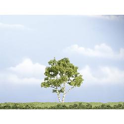 Foto van Woodland scenics wtr1601 boom berk 100 tot 100 mm 1 stuk(s)
