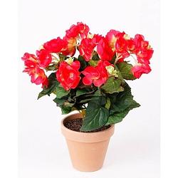 Foto van Kunstplant begonia roze 30 cm - kunstplanten