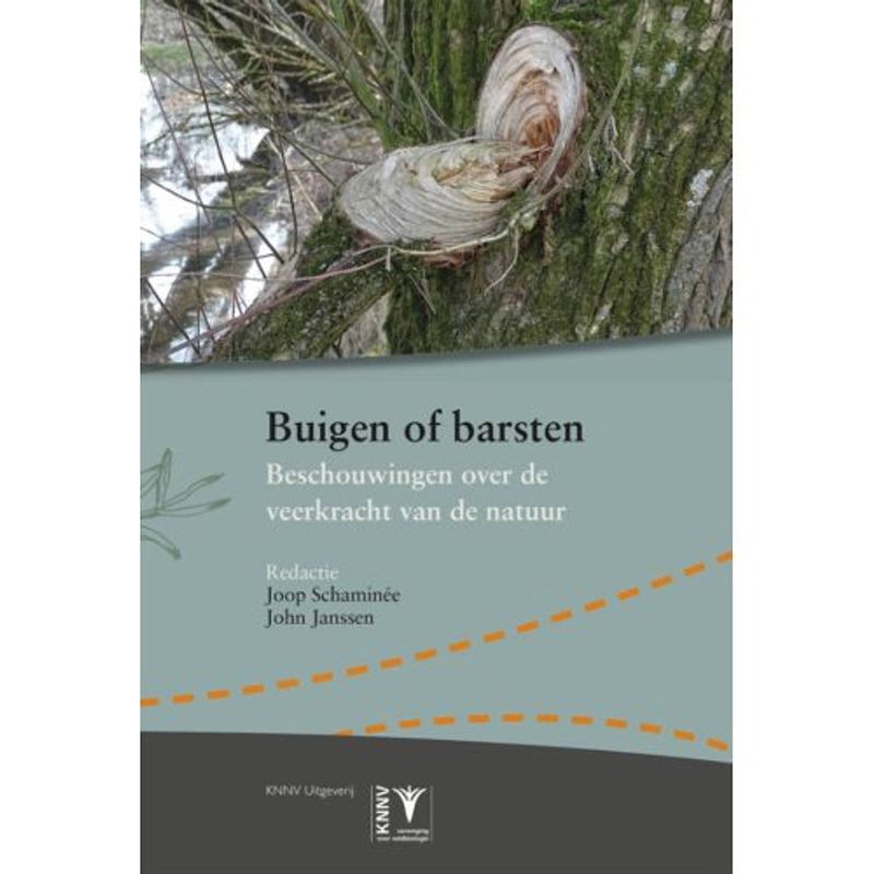 Foto van Buigen of barsten - vegetatiekundige monografieen