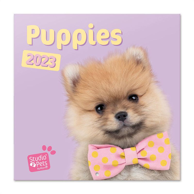 Foto van Puppies kalender 2023