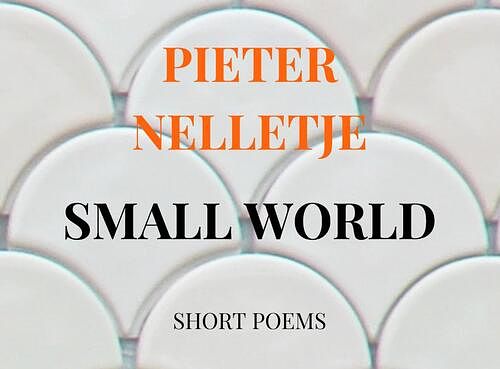 Foto van Small world - pieter nelletje - paperback (9789403703596)