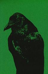 Foto van Flipping the bird - jaap scheeren, rik van den bos - paperback (9789083225135)