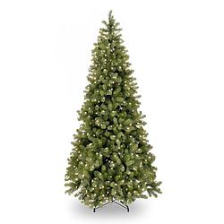 Foto van National tree company - poly bayberry slim kunstkerstboom hinged 228 cm met 500 led power connect