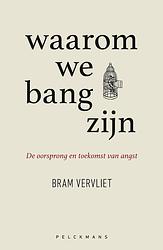 Foto van Waarom we bang zijn - bram vervliet - ebook (9789464015003)