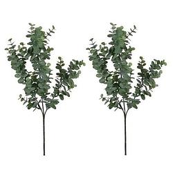 Foto van 2x grijs/groene eucalyptus kunsttak kunstplant 65 cm - kunstplanten