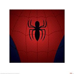 Foto van Pyramid ultimate spider-man spider-man torso kunstdruk 40x40cm