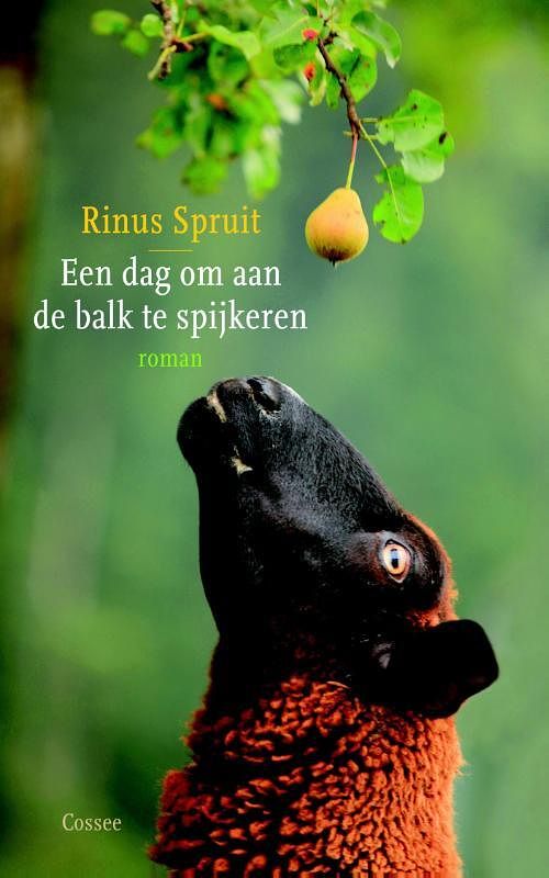 Foto van Een dag om aan de balk te spijkeren - rinus spruit - ebook (9789059364660)