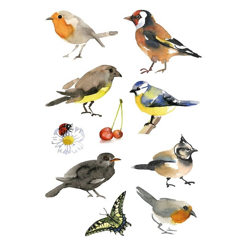 Foto van 30x vogels dieren stickers - stickers