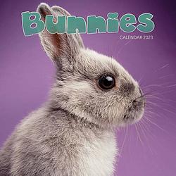 Foto van Bunnies kalender 2023 mini