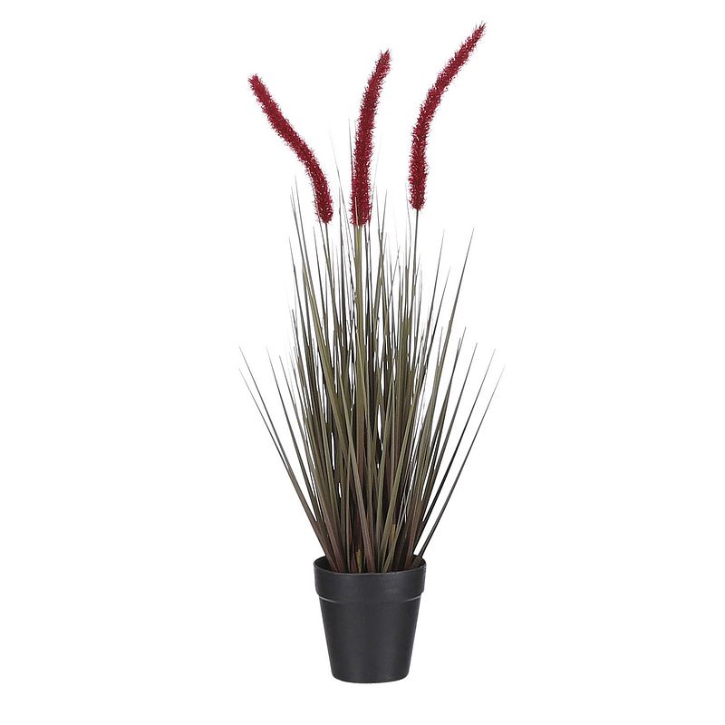 Foto van Mica decorations kunstbloem dogtail 53 cm rood/groen