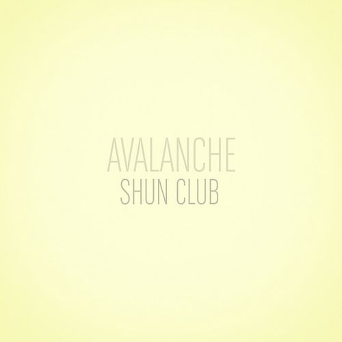 Foto van Avalanche - cd (5411530501359)