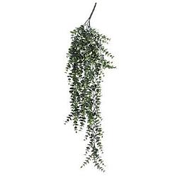 Foto van Kunstplant eucalyptus hanging bush - groen - 75 cm - leen bakker