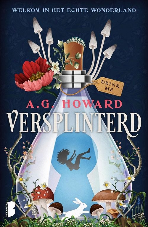 Foto van Versplinterd - a.g. howard - ebook