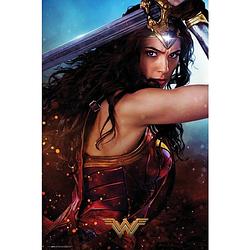 Foto van Gbeye wonder woman defend poster 61x91,5cm