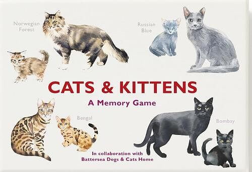 Foto van Cats & kittens - speelgoed (9781786272263)