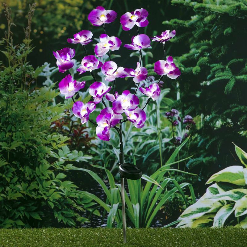 Foto van Hi tuinlamp orchidee solar led 75 cm