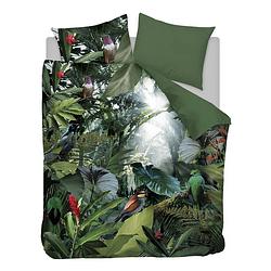 Foto van Snoozing tropical birds flanel dekbedovertrek - 2-persoons (200x200/220 cm + 2 slopen) - flanel - groen