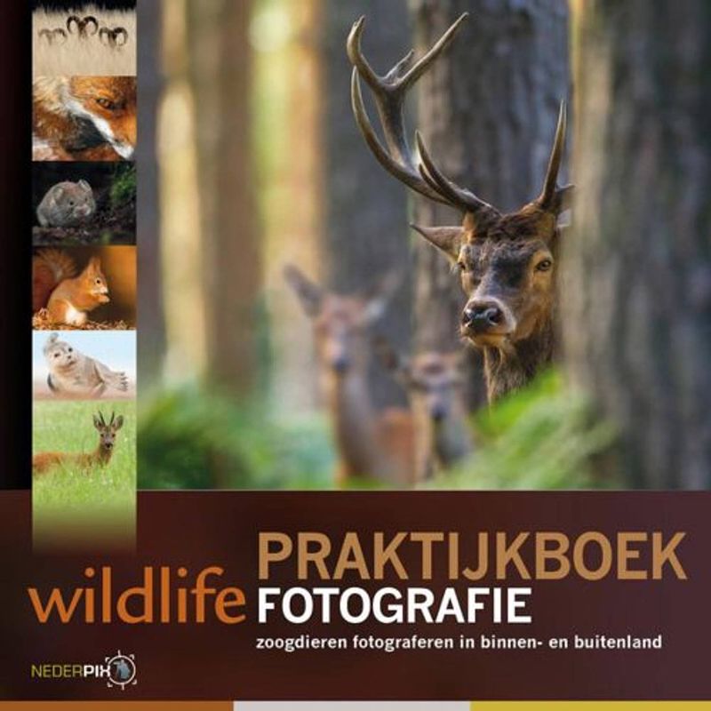 Foto van Praktijkboek wildlife fotografie - praktijkboeken