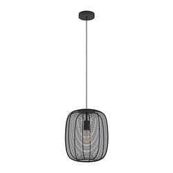 Foto van Eglo rinroe hanglamp - e27 - ø 32,5 cm - zwart - staal