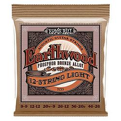 Foto van Ernie ball 2153 earthwood acoustic phosphor bronze 12-string