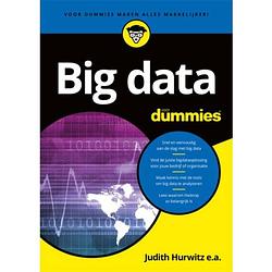 Foto van Big data voor dummies - voor dummies