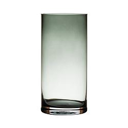 Foto van Glazen bloemen cylinder vaas/vazen 25 x 12 cm transparant grijs - vazen