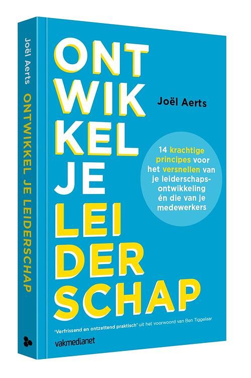 Foto van Ontwikkel je leiderschap - joël aerts - ebook (9789462762565)