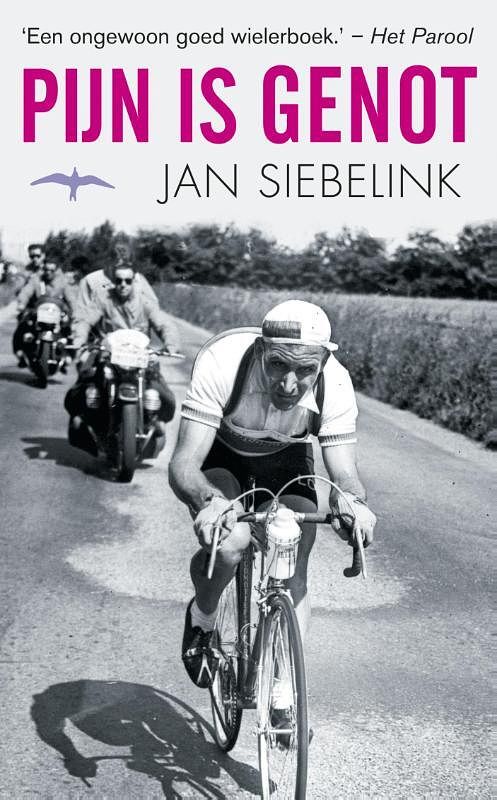 Foto van Pijn is genot - jan siebelink - ebook (9789400400849)