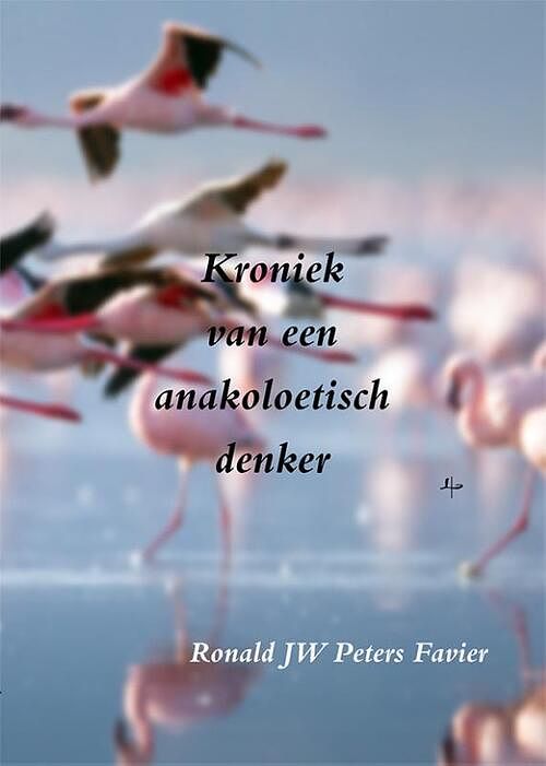 Foto van Kroniek van een anakoelitisch denker - ronald jw peters favier - paperback (9789492519498)