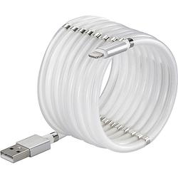 Foto van Renkforce usb-kabel usb 2.0 usb-c stekker, apple lightning stekker 1.00 m wit to-6897012