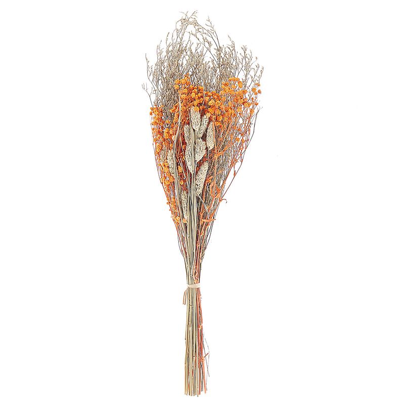 Foto van Beliani cercedilla - droogbloemen boeket-oranje-droogbloemen