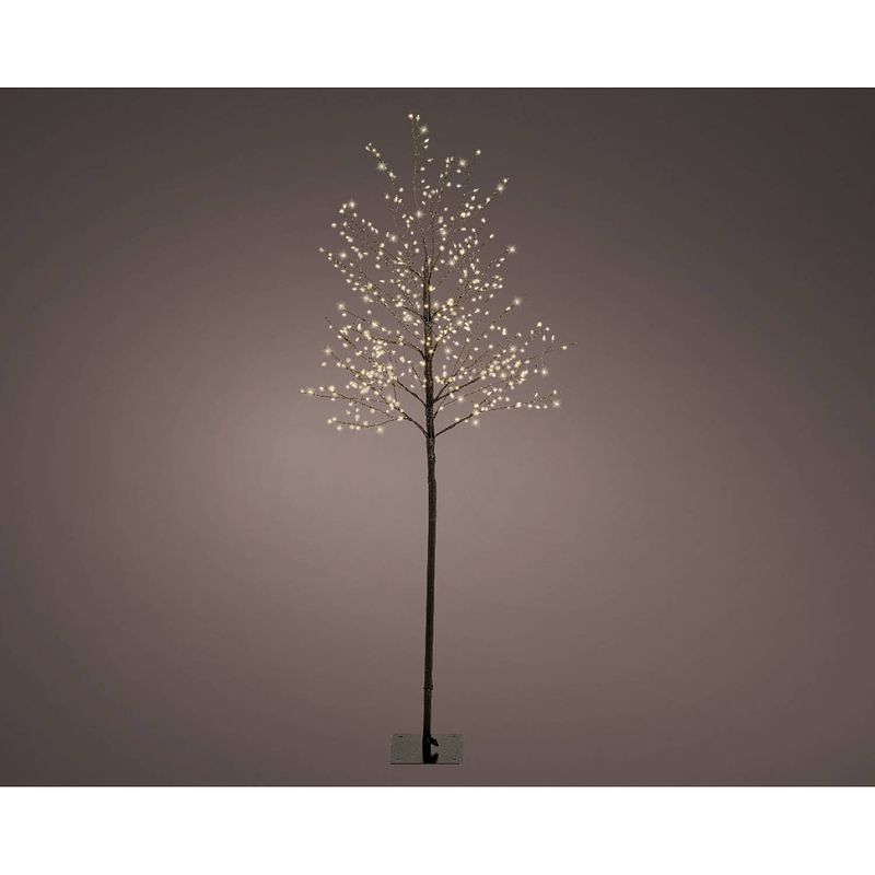 Foto van Lumineo - micro led boom d30h150 cm zwart/wit kerstverlichting