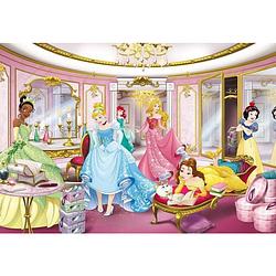 Foto van Komar disney princess mirror fotobehang 368x254cm 8-delig