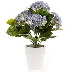 Foto van Kunstplant hortensia blauw in pot 37 cm - kamerplant blauwe hortensia