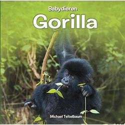 Foto van Gorilla - babydieren