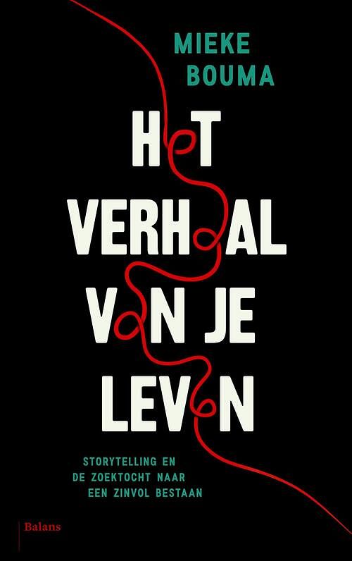 Foto van Het verhaal van je leven - mieke bouma - ebook (9789460038495)