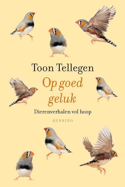 Foto van Op goed geluk - toon tellegen - ebook (9789021455273)