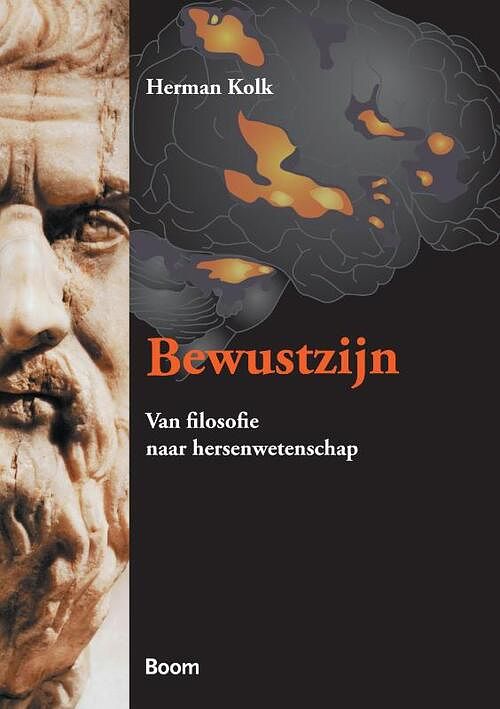 Foto van Bewustzijn - herman kolk - ebook (9789461272706)