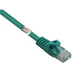 Foto van Renkforce rf-5236034 rj45 netwerkkabel, patchkabel cat 5e u/utp 1.00 m groen snagless 1 stuk(s)