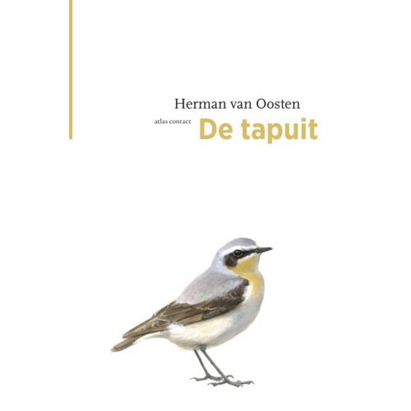 Foto van De tapuit - de vogelserie