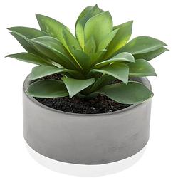 Foto van Atmosphera vetplant kunstplant in pot van cement 22 cm - kunstplanten