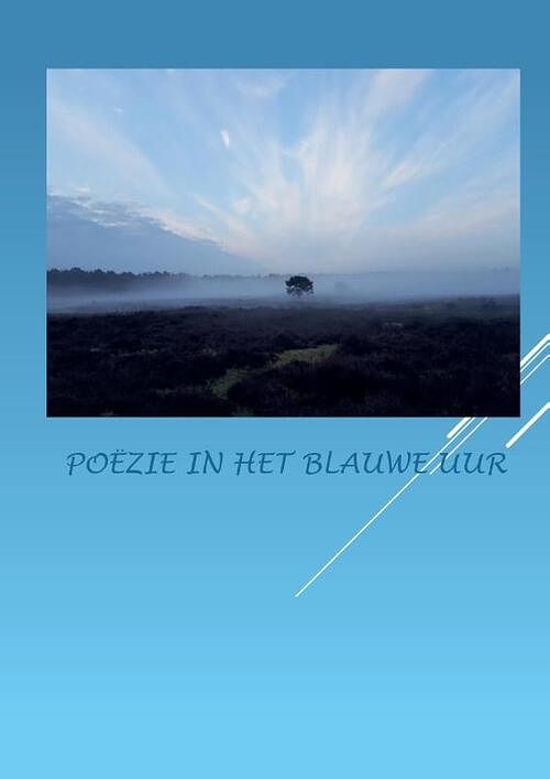 Foto van Poëzie in het blauwe uur - anna van mansom - hardcover (9789464436778)