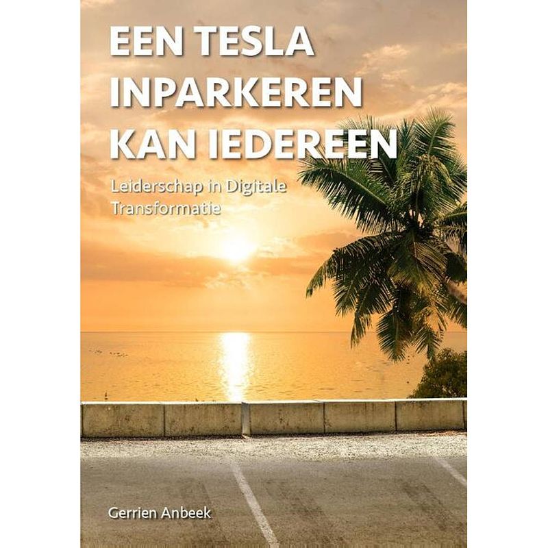 Foto van Een tesla inparkeren kan iedereen