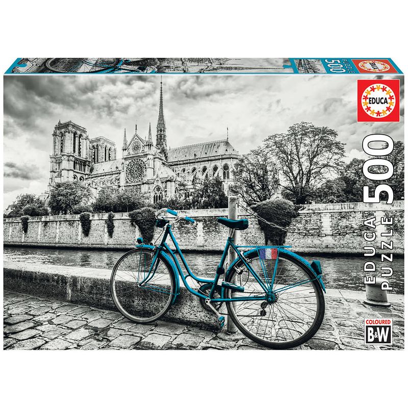 Foto van Educa fietsen bij de notre dame (500)