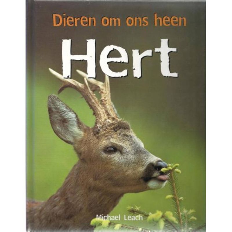 Foto van Hert - dieren om ons heen