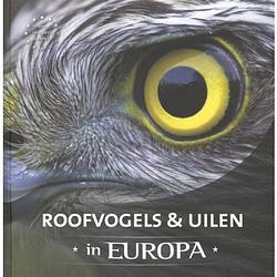 Foto van Roofvogels & uilen in europa