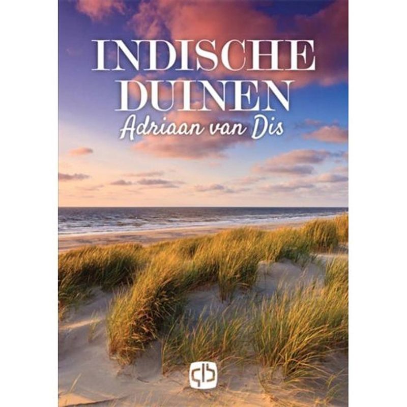 Foto van Indische duinen