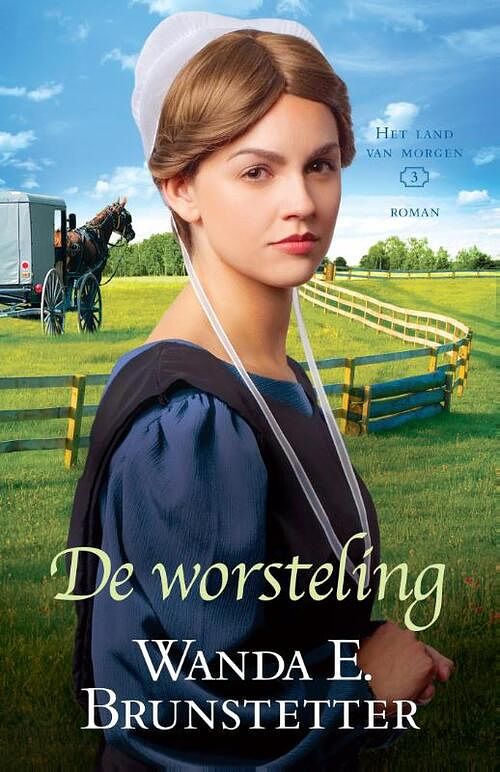 Foto van De worsteling - wanda e. brunstetter - ebook (9789088653025)